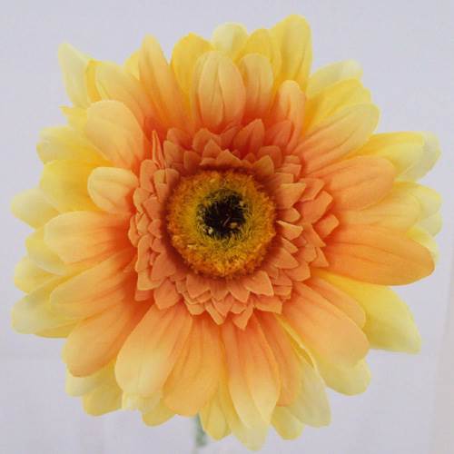 Silk Gerbera Yellow 65cm - G032 E2