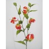 Silk Gloriosa Flame Lily Orange 98cm - G010C E2