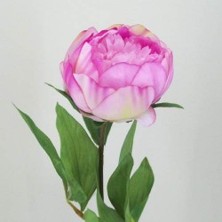 Peony Flowers Antique Pink 60cm - P002A K3
