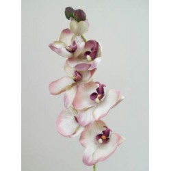 Vintage Phalaenopsis Orchid Pink 81cm - O047 K3