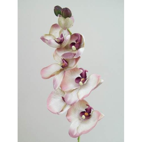 Vintage Phalaenopsis Orchid Pink 81cm - O047 K3