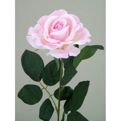 Premium Roses Pink 70cm - R014e 