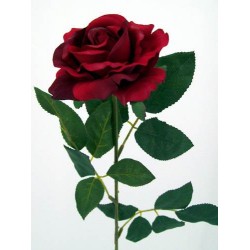 Premium Roses Red 70cm - R014c L3 