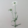 Silk Scabious Flowers Cream 64cm | Artificial Scabiosa - S060 U4 Silk Scabious Flowers Cream 64cm | Artificial Scabiosa - S060 U4