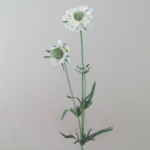 Silk Scabious Flowers Cream 64cm | Artificial Scabiosa - S060 U4 Silk Scabious Flowers Cream 64cm | Artificial Scabiosa - S060 U4