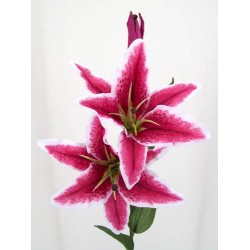 Silk Stargazer Lily Hot Pink 85cm - L013 BB2