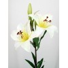 Silk Tiger Lilies Ivory 77cm - L009 I1 Silk Tiger Lilies Ivory 77cm - L009 I1