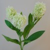 Artificial Skimmia Cream 60cm - S045 Q2