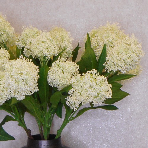 Artificial Skimmia Cream 60cm - S045 Q2