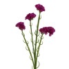 Artificial Statice Magenta Pink 62cm - S132 P3