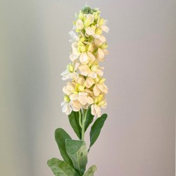 Artificial Stocks Peach 80cm - S131 LL2