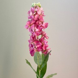 Artificial Stocks Dark Pink 80cm - S099 LL2