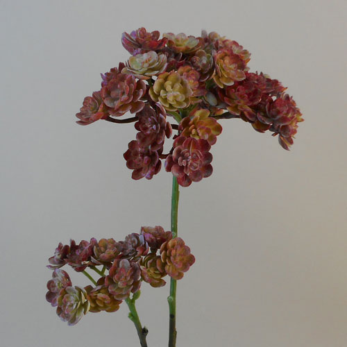 Artificial Echeveria Spray Red 48cm - SUC034 BX1 Artificial Echeveria Spray Red 48cm - SUC034 BX1