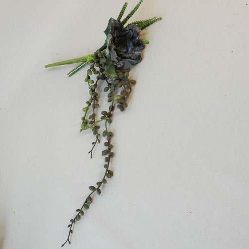 Trailing Succulents Bundle Green - SUC037 JJ4