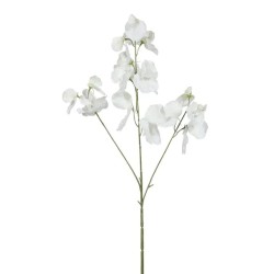Sweet Peas Stem White 73cm - S048 