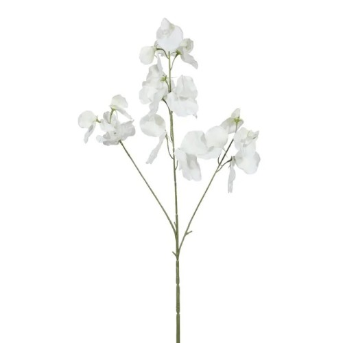 Sweet Peas Stem White 73cm - S048 