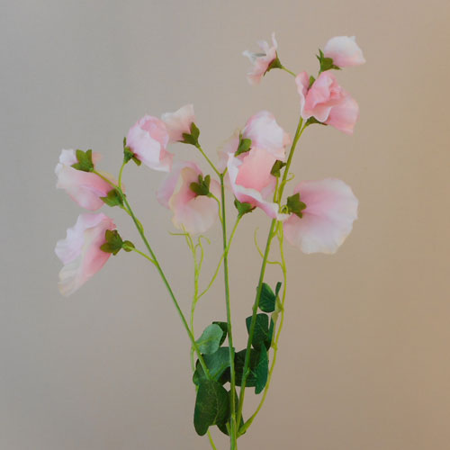 Long Artificial Sweet Peas Stem Pink 68cm - S030 R3