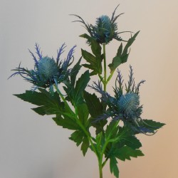 Wild Sea Holly Thistles Aqua Blue 67cm - E020 H2