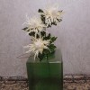 Wild Sea Holly Thistles Cream 67cm - E023 FF2