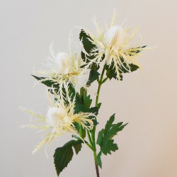 Wild Sea Holly Thistles Cream 67cm - E023 FF2