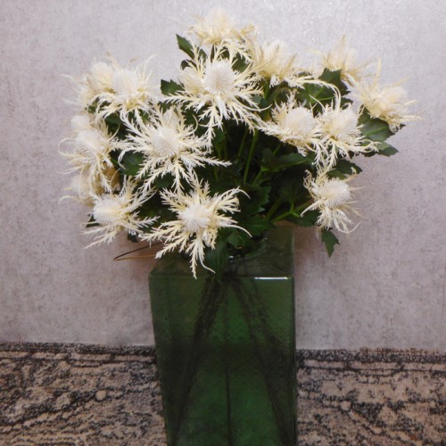 Wild Sea Holly Thistles Cream 67cm - E023 FF2