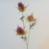 Artificial Eryngium Thistles Sea Holly Red 72cm - E024 F3