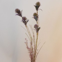 English Sea Holly Thistles Purple 66cm - E009 H2