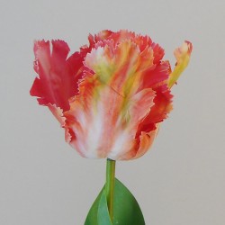 Artificial Parrot Tulips Coral 64cm  - T030 Q3