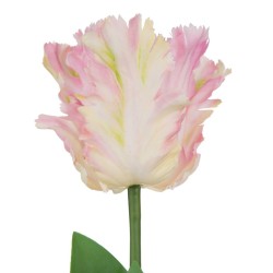 Artificial Parrot Tulips Pale Pink 64cm  - T021 P4