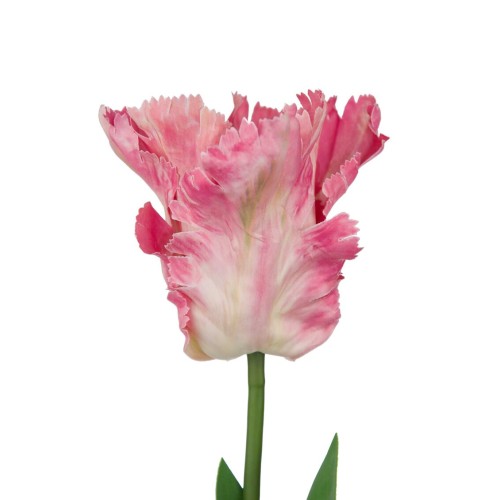 Artificial Parrot Tulips Pink 64cm  - T023 