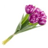 Artificial Bicolour Tulips Bouquet Purple 40cm - T017 Q3