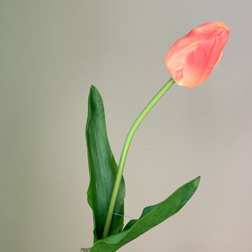 Real Touch Artificial Tulips Peach 50cm - T023 Real Touch Artificial Tulips Peach 50cm - T023