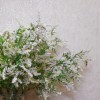 Artificial Veronica Flowers White 70cm - V019 AA4