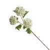 Artificial Viburnum White 80cm - V040 Q4 Artificial Viburnum White 80cm - V040 Q4
