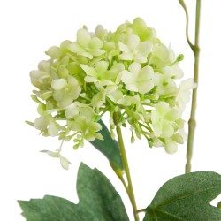 Silk Viburnum | Snowball Flowers Light Green 100cm - V011
