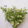 Artificial Wax Flower Plants White 38cm - W011 