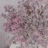 Short Stem Artificial Wax Flower Buds Dusky Pink 36cm - W066 DD4