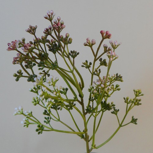 Short Stem Artificial Wax Flower Buds Mulberry 36cm - W067 