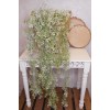 Artificial Trailing Plants White Wax Flower Buds 94cm - W070 BB4 Artificial Trailing Plants White Wax Flower Buds 94cm - W070 BB4