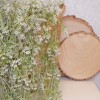 Artificial Trailing Plants White Wax Flower Buds 94cm - W070 BB4 Artificial Trailing Plants White Wax Flower Buds 94cm - W070 BB4
