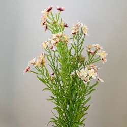 Artificial Wax Flowers Peach Pink 68cm - W075