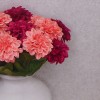 Artificial Zinnias Coral 46cm - Z010 S2