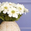 Zinnia and Bud Cream 43.5cm - Z040 T2