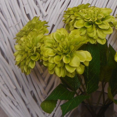 Zinnia Lime Green 46cm - Z019 T2