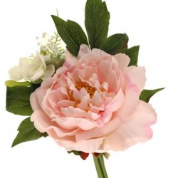 Luella Peony Posy Pink Small 26cm - LUE002 K1