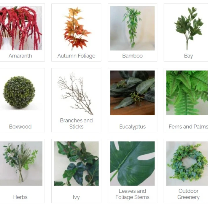 Leaves and Foliage by Type