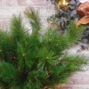 Artificial Mountain Spruce Branch 52.5cm 12 tips - X22012 BAY1B