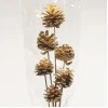 Gold Pine Cones on Sticks Pack of 6 - X25040 BAY3A