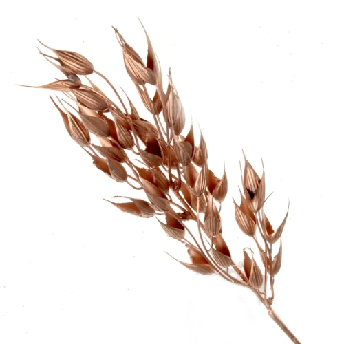 Metallic Barley Husks Copper 40cm - X22015 CC3