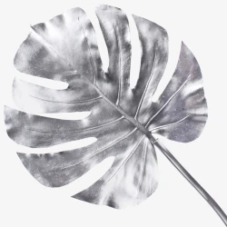 Metallic Monstera Leaf SIlver 80cm - X23043 BAY4B
